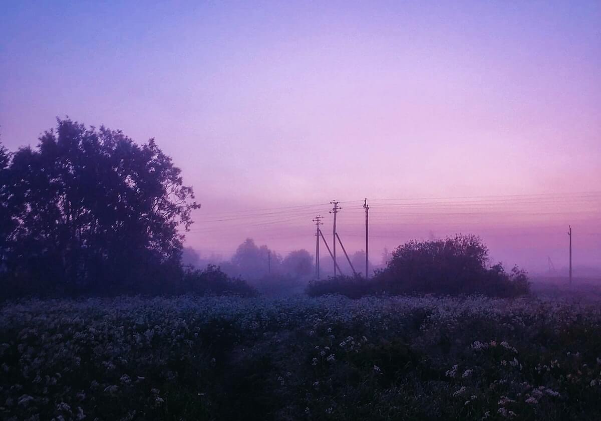 【MN】拿下科斯蒂奇，实则为弗拉霍维奇铺路