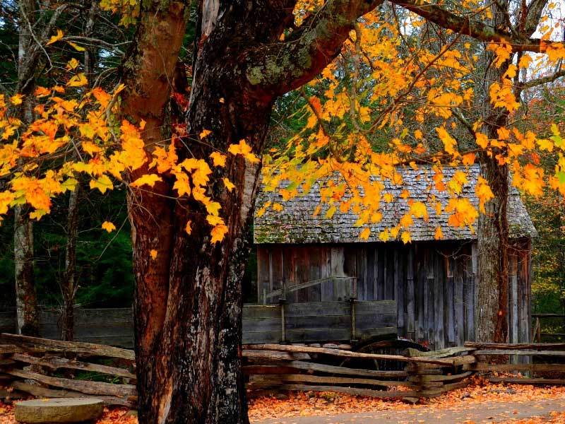 西甲毕尔巴鄂竞技与尼科・威廉姆斯续约至2035年